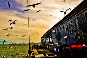 引领智能变革的网站ddos隐藏源ip